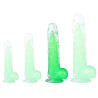 ClearlyHorny Gode transparent Jelly Mut M 16 x 4cm Vert